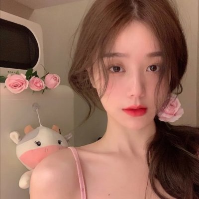 科搜研之女2022